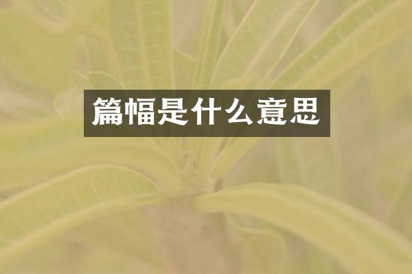 篇幅是什么意思