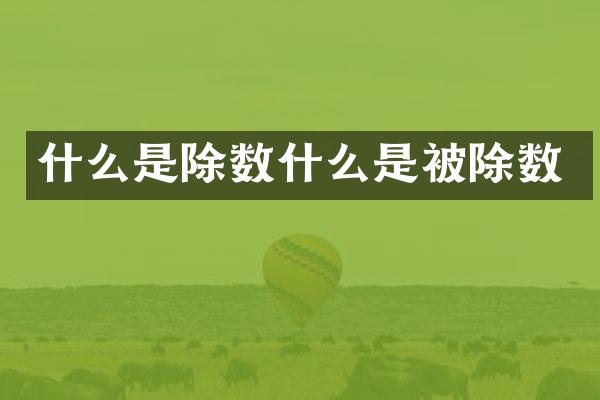 什么是除数什么是被除数