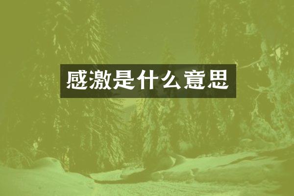 感激是什么意思