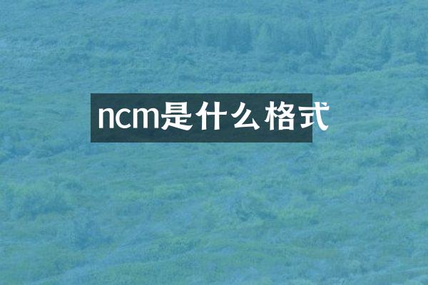 ncm是什么格式