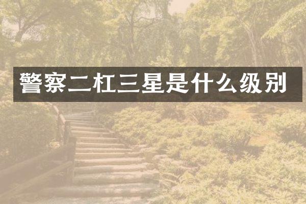 警察二杠三星是什么级别