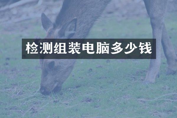 检测组装电脑多少钱
