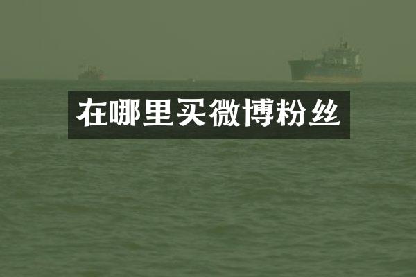 在哪里买微博粉丝