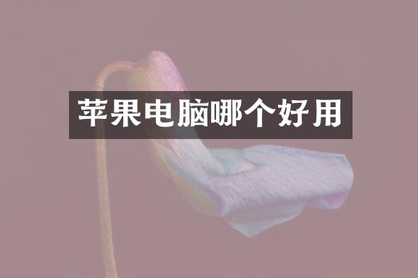 苹果电脑哪个好用