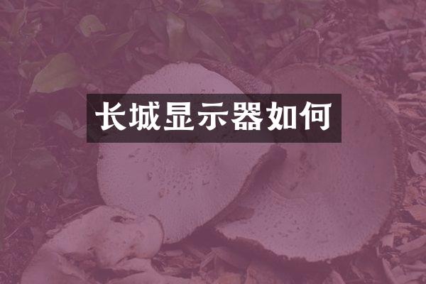 长城显示器如何
