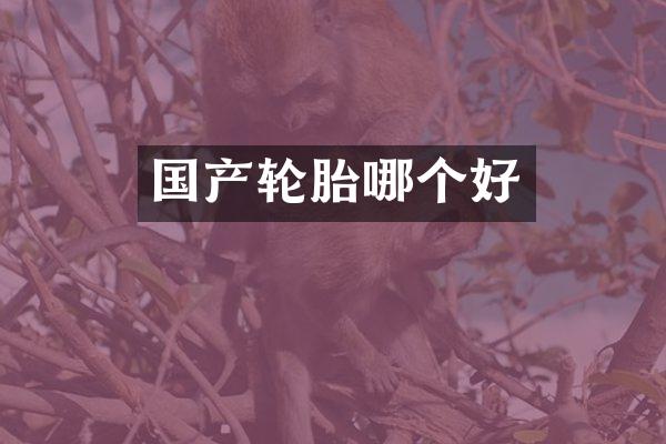 国产轮胎哪个好