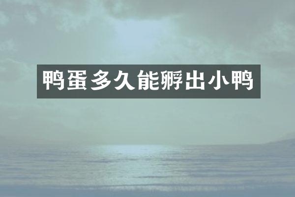 鸭蛋多久能孵出小鸭