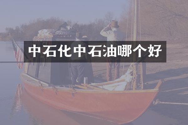 中石化中石油哪个好