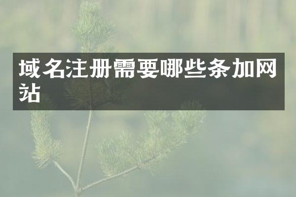 域名注册需要哪些条加网站