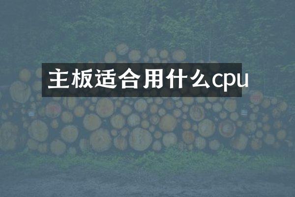 主板适合用什么cpu