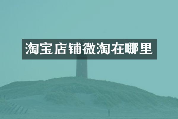 淘宝店铺微淘在哪里