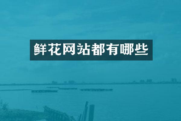 鲜花网站都有哪些