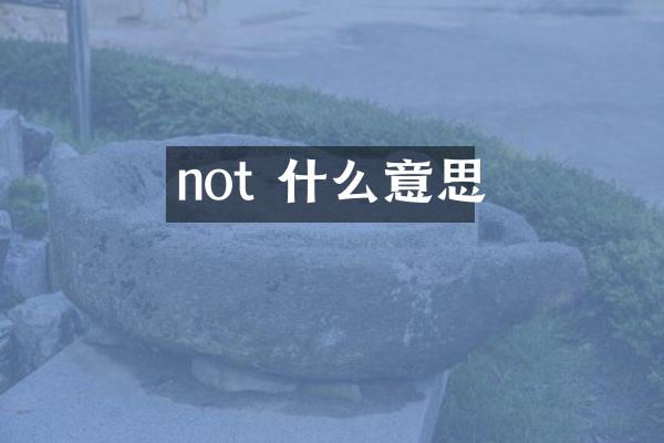 not 什么意思