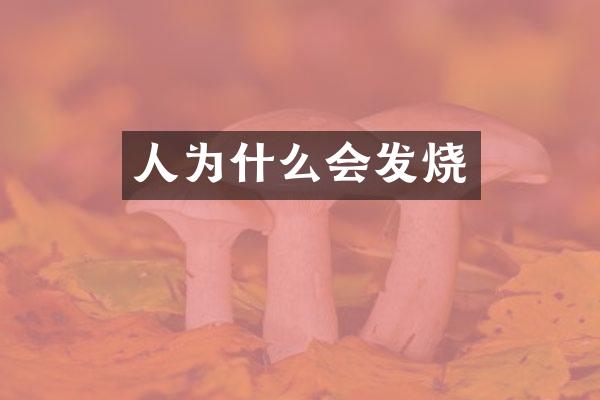 人为什么会发烧