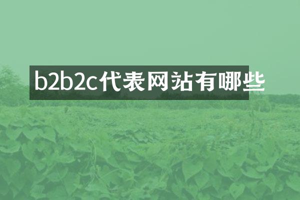 b2b2c代表网站有哪些