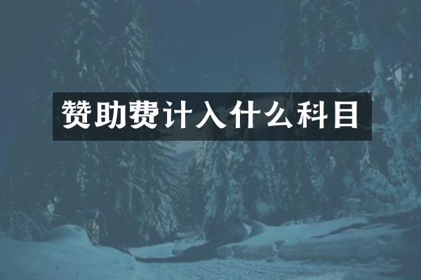 赞助费计入什么科目