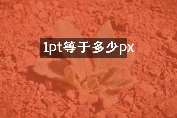 1pt等于多少px