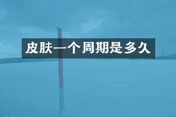 皮肤一个周期是多久
