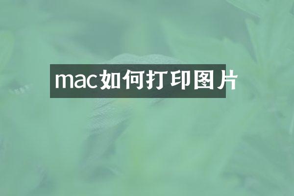 mac如何打印图片