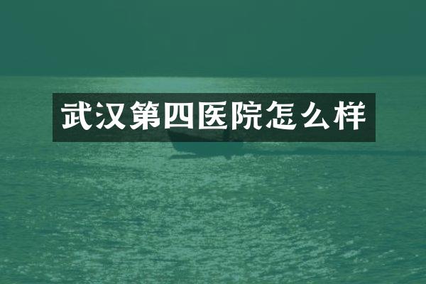 武汉第四医院怎么样