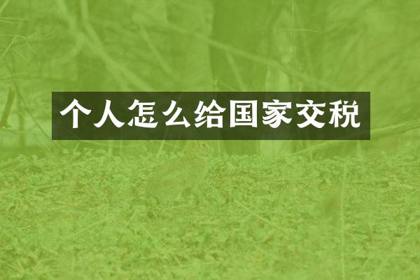 个人怎么给国家交税