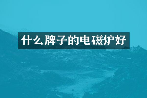 什么牌子的电磁炉好