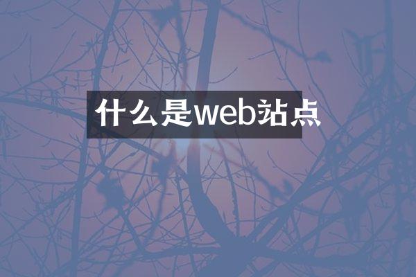 什么是web站点