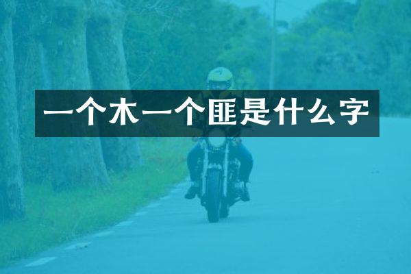 一个木一个匪是什么字