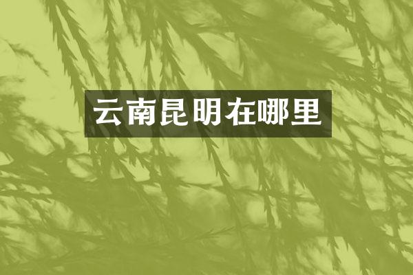 云南昆明在哪里