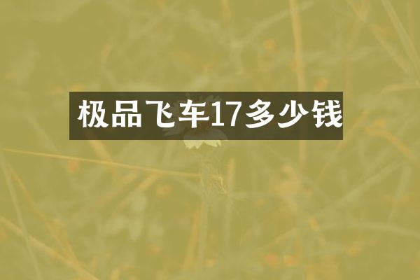 极品飞车17多少钱