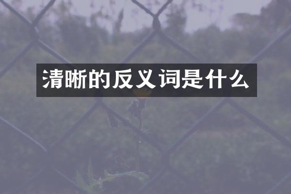 清晰的反义词是什么
