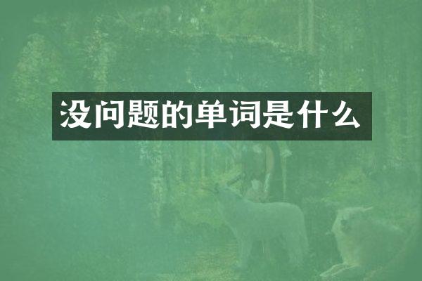 没问题的单词是什么