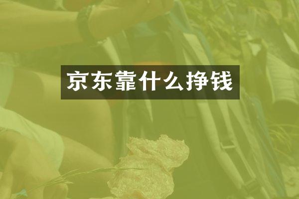 京东靠什么挣钱