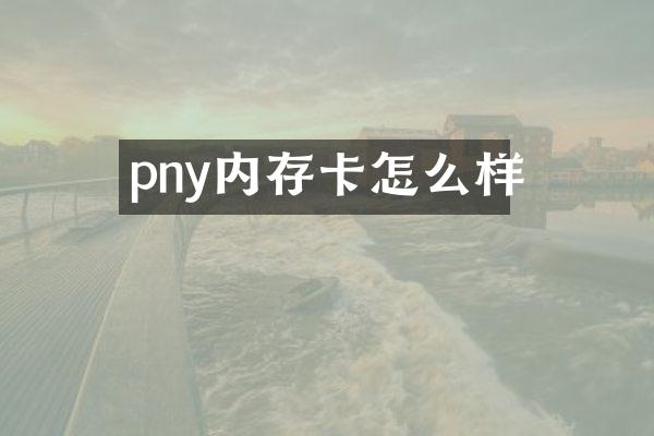 pny内存卡怎么样