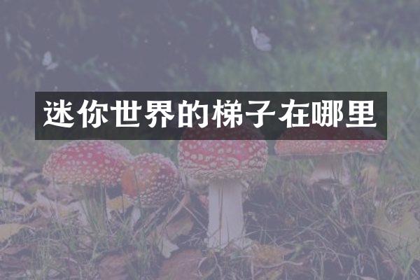 迷你世界的梯子在哪里