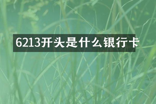 6213开头是什么银行卡
