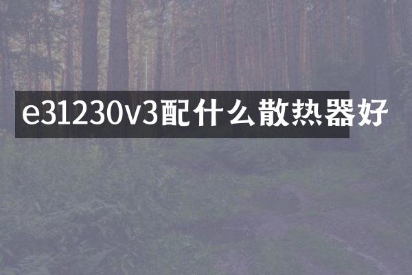 e31230v3配什么散热器好