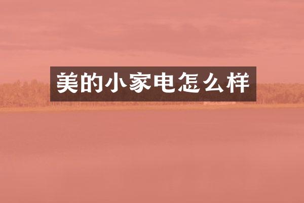 美的小家电怎么样