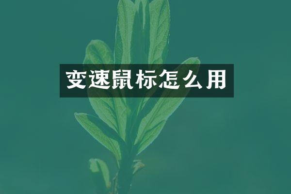 变速鼠标怎么用