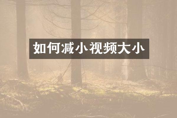 如何减小视频大小