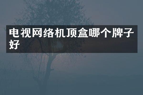 电视网络机顶盒哪个牌子好