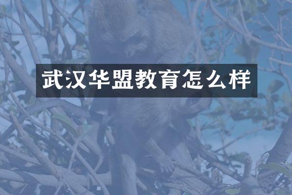 武汉华盟教育怎么样