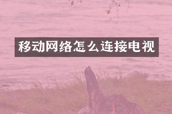 移动网络怎么连接电视
