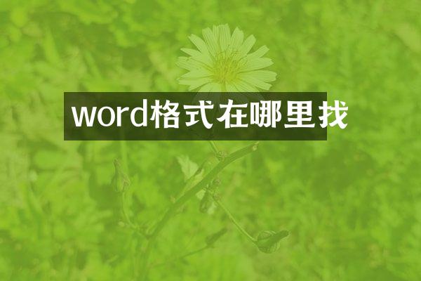 word格式在哪里找
