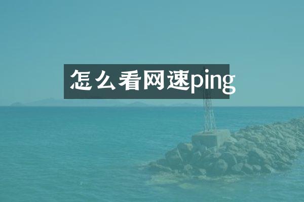 怎么看网速ping