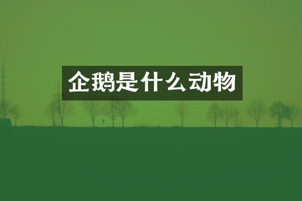 企鹅是什么动物