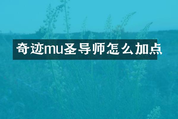 奇迹mu圣导师怎么加点