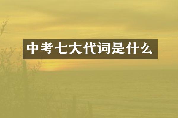 中考七大代词是什么