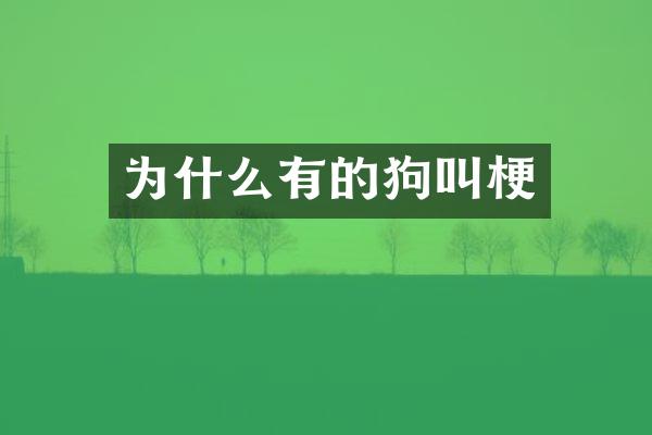 为什么有的狗叫梗