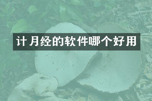 计月经的软件哪个好用